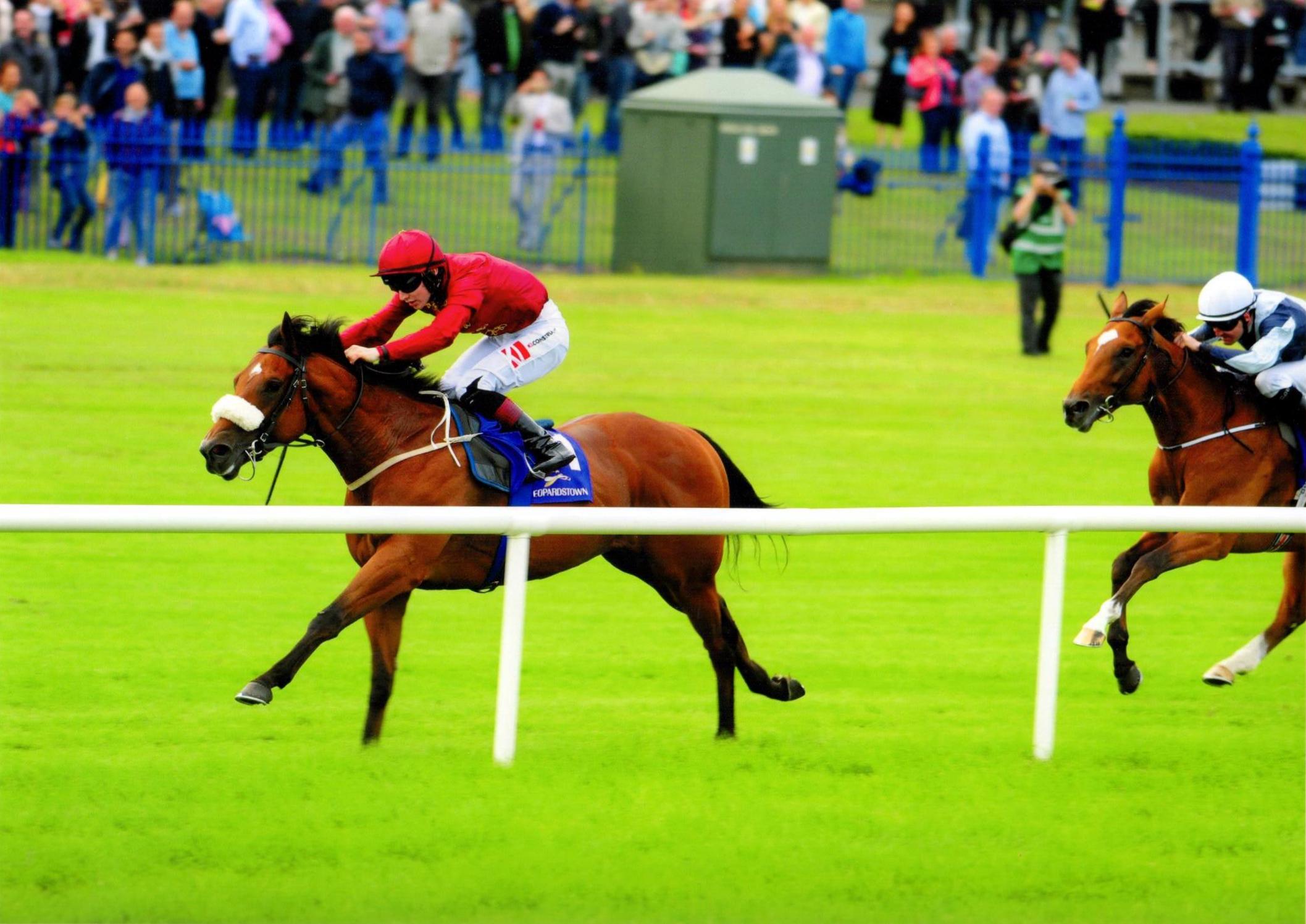 BRUTAL gets off the mark at Leopardstown 11th August 2016